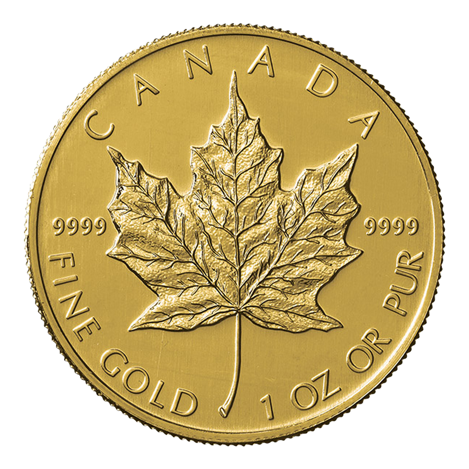 Canadian Maple Leaf 1 oz Gold Coin