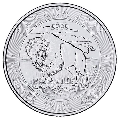 Silver Canadian Buffalo
